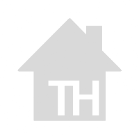 Pokemon - Toyhouse HTML codes
