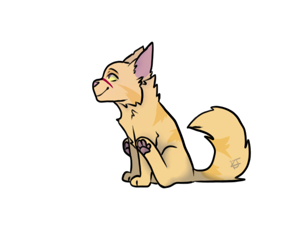 8340004_jkW58GrN71hnz7d.png