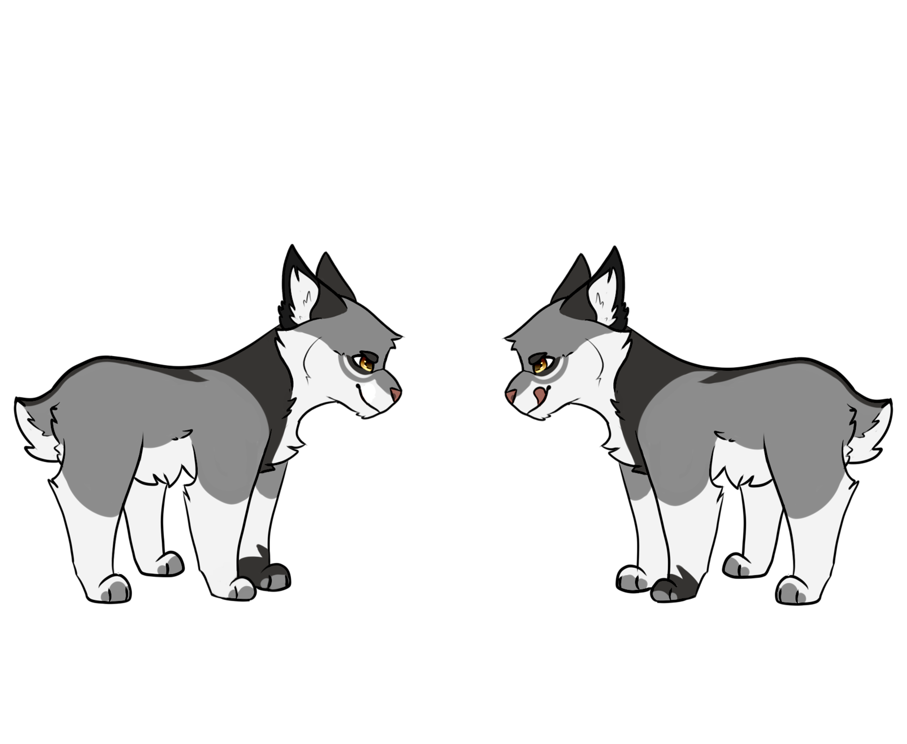 8742456_8U898ZMUVTFeH5U.png